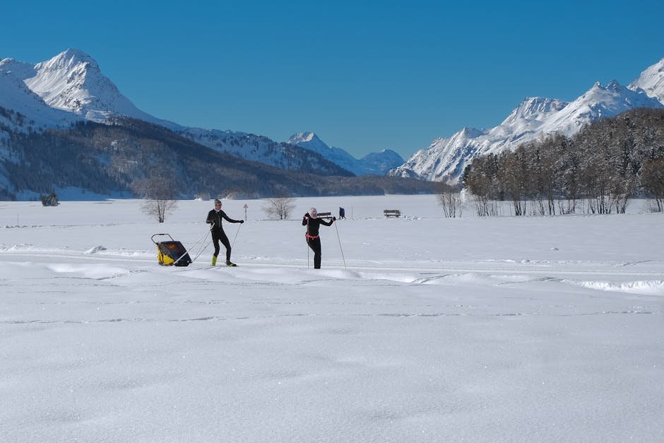 Famille pratiquant le ski de fond dans un paysage enneige