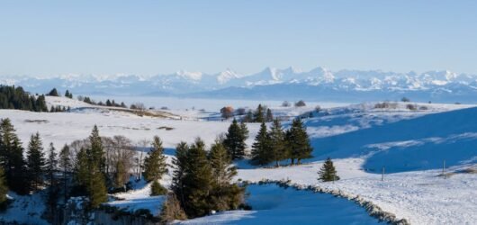 Que faire ce week-end dans le canton de Vaud : agenda culturel de février 2026