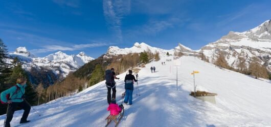 Randonnées hivernales dans le canton de Vaud : 5 itinéraires accessibles à tous
