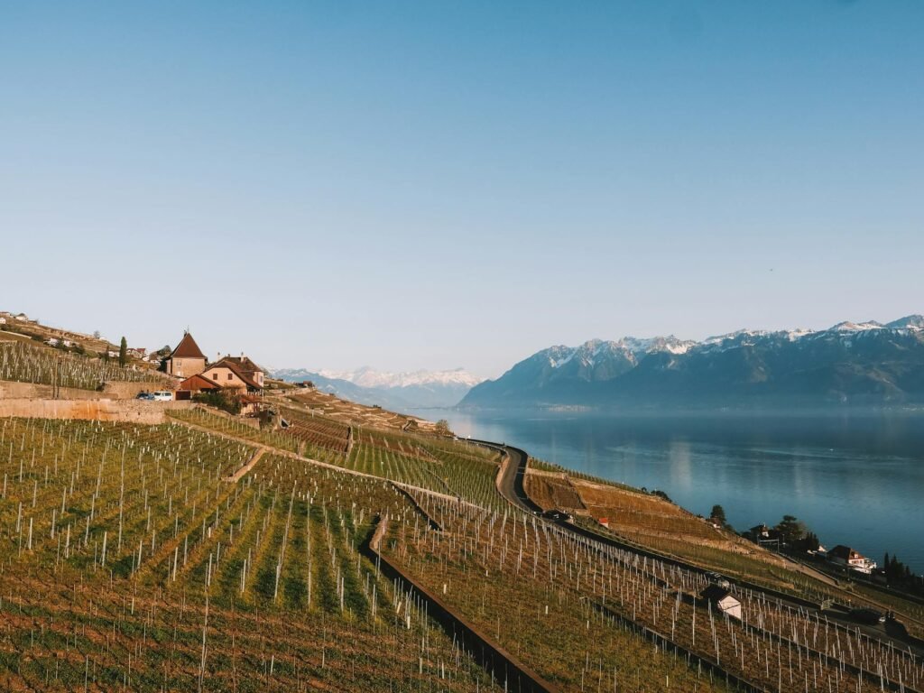 Domaines viticoles Lavaux