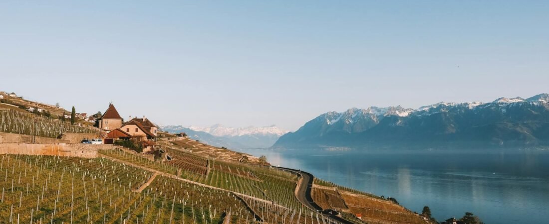 Les plus beaux domaines viticoles du Lavaux à visiter en famille