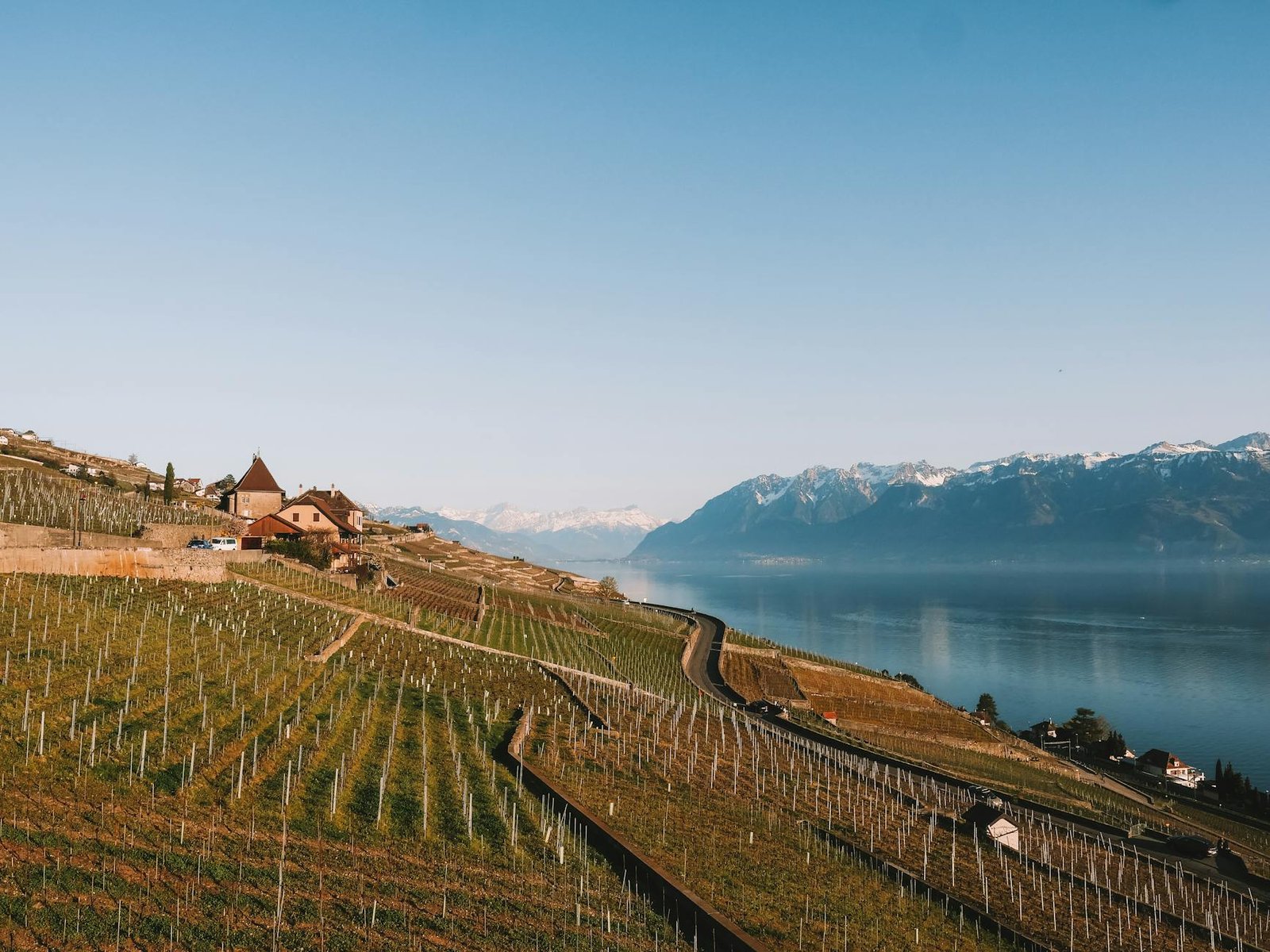 Les plus beaux domaines viticoles du Lavaux à visiter en famille