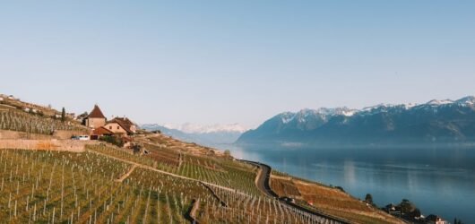 Printemps dans le Lavaux : premières balades entre vignobles et lac Léman