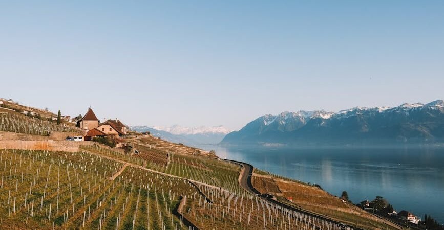 Printemps dans le Lavaux : premières balades entre vignobles et lac Léman