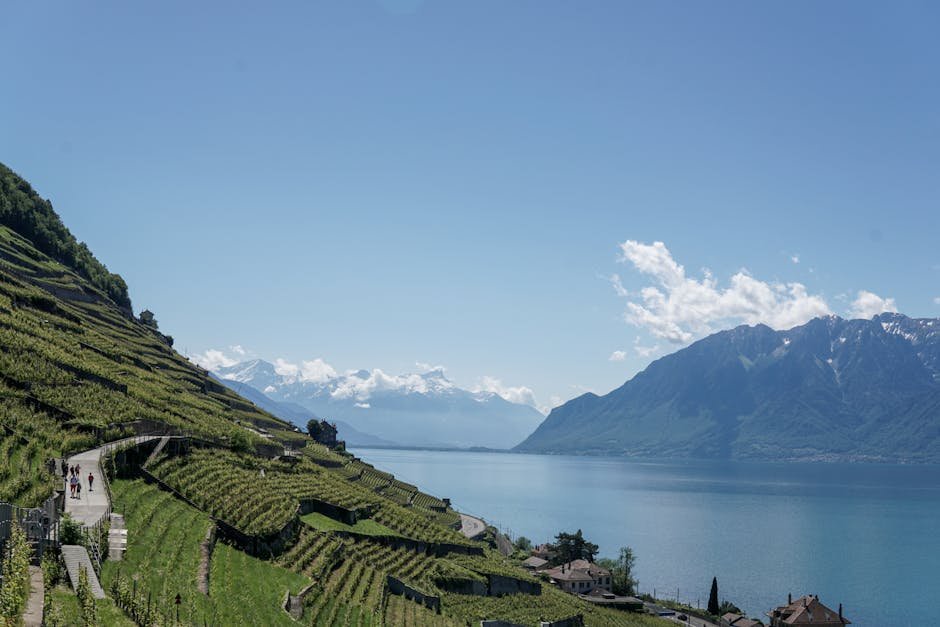 Village viticole de Lavaux avec le lac Leman et les Alpes en arriere-plan
