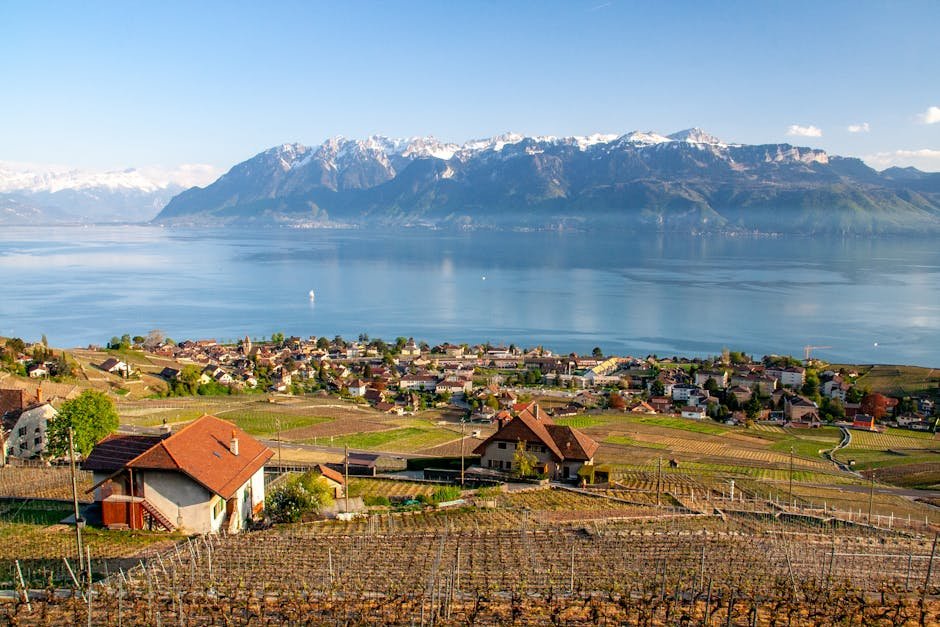Village pittoresque entoure de vignobles avec le lac Leman et les Alpes en arriere-plan