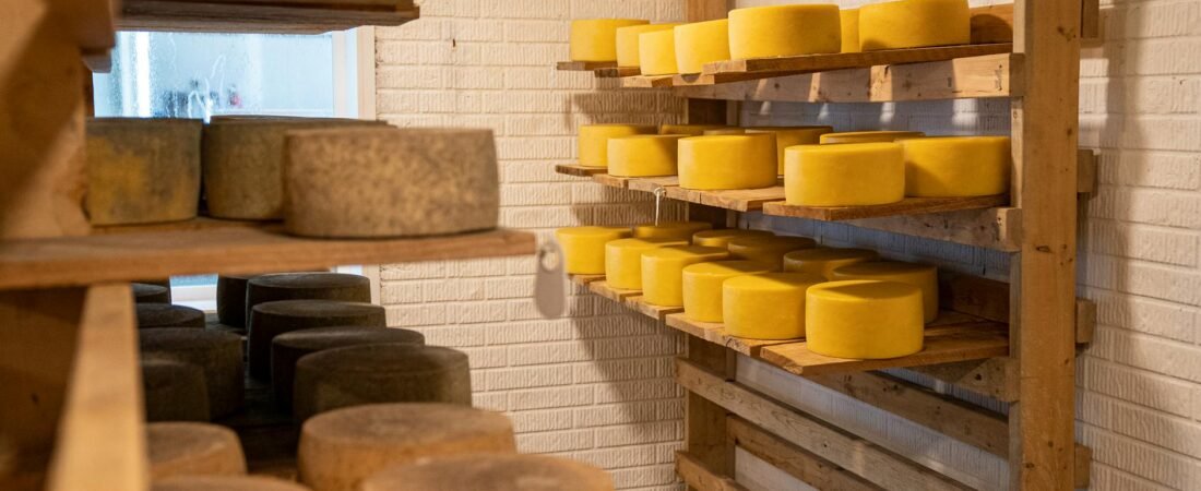 Artisans vaudois : a la rencontre des fromagers du Jura vaudois