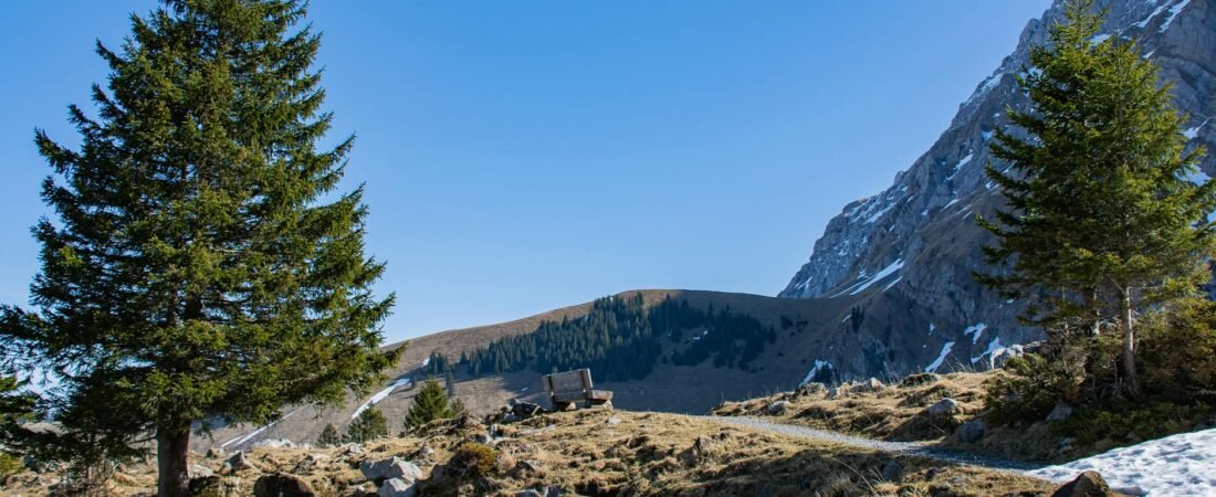 Le printemps arrive dans le canton de Vaud : 7 balades pour profiter des premiers beaux jours