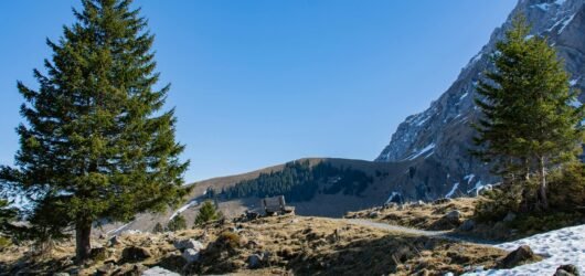 Le printemps arrive dans le canton de Vaud : 7 balades pour profiter des premiers beaux jours