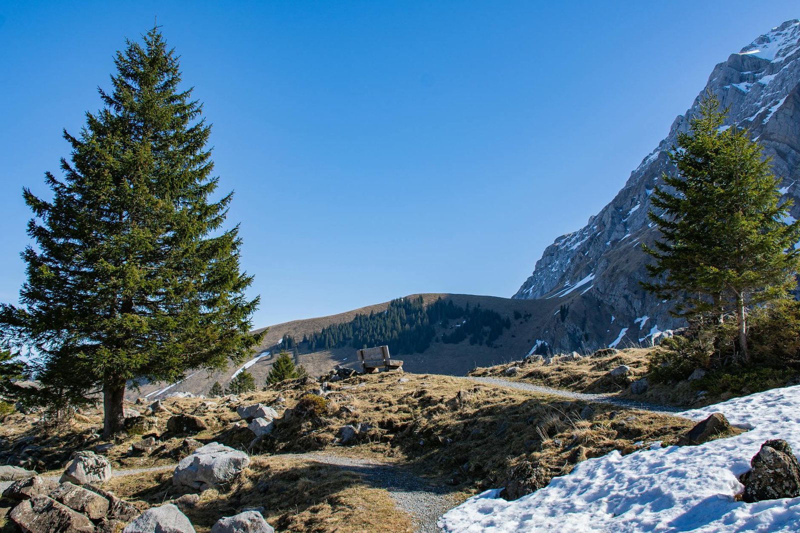 Le printemps arrive dans le canton de Vaud : 7 balades pour profiter des premiers beaux jours