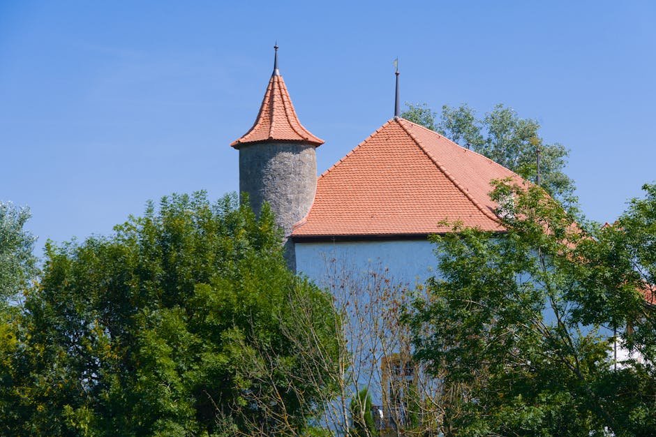 Forteresse médiévale au bord du lac Léman avec les Alpes en arrière-plan
